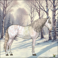 Horse Color:Palomino Ice Dun Appaloosa Rabicano
