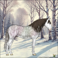 Horse Color:Smoky Grullo Ice Sabino Splash Varnish 