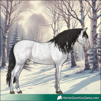 Horse Color:Brown Ice Roan 