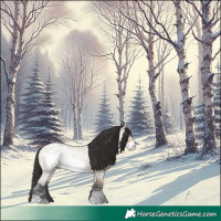 Horse Color:Bay Ice Roan Dun Frame 