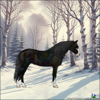 Horse Color:Midnight Brown Ice Dun Sabino