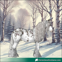 Horse Color:Midnight Silver Bay Ice Sabino