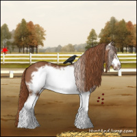 Horse Color:White Spotted Chestnut Frame 
