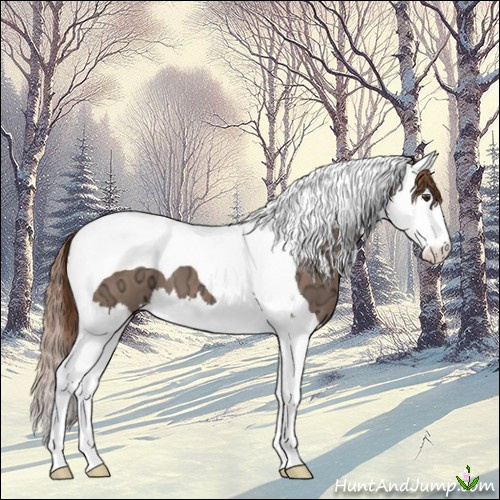 Horse Color:Chestnut Ice Splash Tobiano 