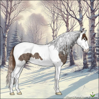 Horse Color:Chestnut Ice Splash Tobiano