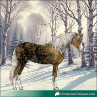 Horse Color:Gold Cream Champagne Ice