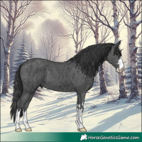 Horse Color:Black Ice 