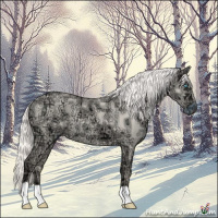 Horse Color:Cremello Ice Dun 