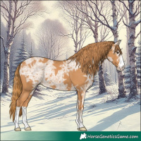Horse Color:Chestnut Ice 