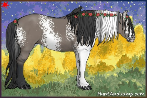 Horse Color:White Spotted Grullo 