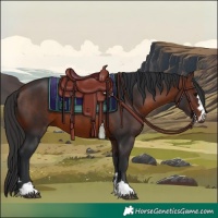 Horse Color:Brown 