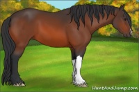 Horse Color:Brown 
