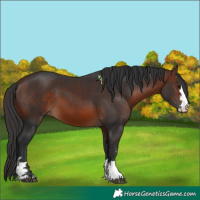 Horse Color:Brown 