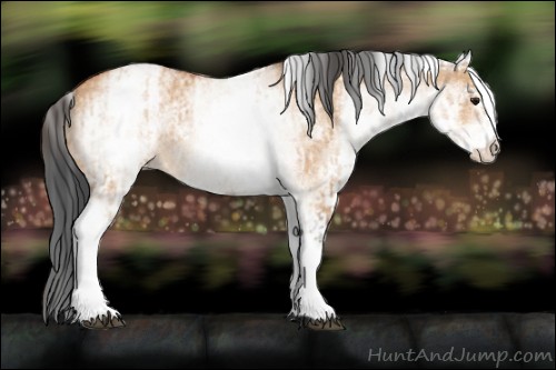 Horse Color:White Spotted Bay Dun Rabicano and White Spotted Bay Dun Rabicano
