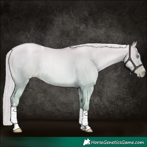 Horse Color:Platinum Chocolate Palomino Pearl Dun Tobiano Rabicano Brindle 