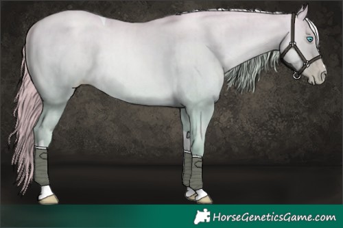 Horse Color:Platinum Chocolate Palomino Pearl Dun Tobiano Rabicano Brindle 