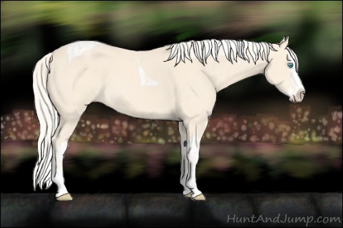 Horse Color:Cremello Splash  and Cremello Splash Tobiano 