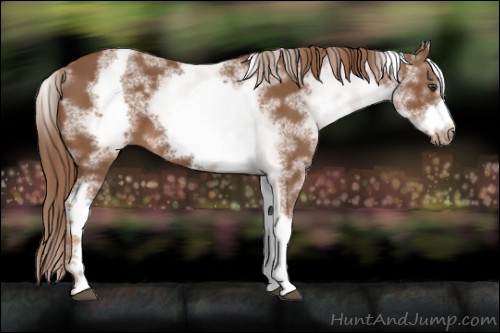 Horse Color:White Spotted Chestnut Sabino Frame 