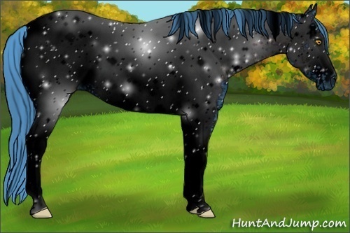 Horse Color:ERROR: UNKNOWN ANOMALY