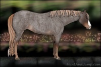 Horse Color:Liver Red Roan Splash 