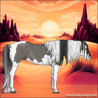 Horse Color:Grullo Roan Splash Tobiano 