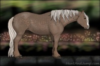Horse Color:Silver Black 