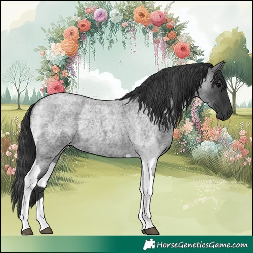 Horse Color:White Spotted Blue Roan Rabicano and Blue Roan Tobiano Rabicano