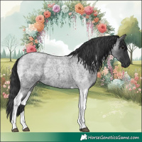 Horse Color:White Spotted Blue Roan Rabicano  and Blue Roan Tobiano Rabicano 