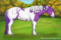 Horse Color:Watercolor Bay Tobiano Frame Appaloosa 