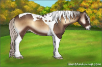 Horse Color:Silver Brown Onyx Tobiano 