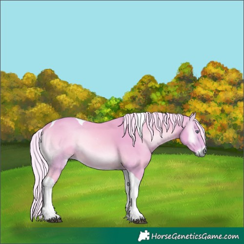 Horse Color:Watercolor Silver Bay Chinchilla Onyx Tobiano Rabicano
