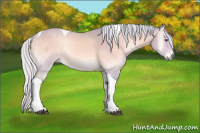 Horse Color:Watercolor Silver Bay Chinchilla Onyx Tobiano Rabicano 