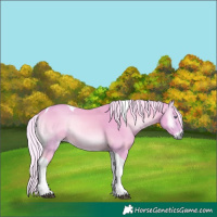 Horse Color:Watercolor Silver Bay Chinchilla Onyx Tobiano Rabicano 