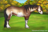 Horse Color:Brown Onyx Frame 