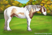 Horse Color:Silver Brown Onyx Tobiano Frame 