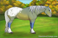 Horse Color:Watercolor Silver Bay Tobiano Appaloosa 