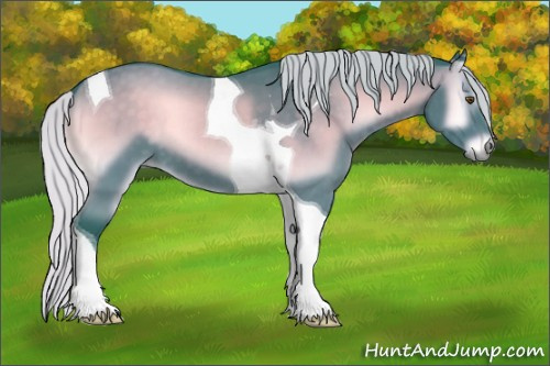 Horse Color:Watercolor Silver Blue Onyx Chinchilla Tobiano 