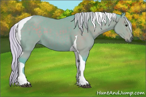 Horse Color:Watercolor Silver Black Tobiano 
