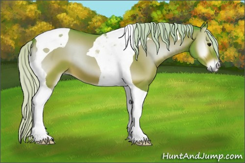 Horse Color:Watercolor Silver Bay Onyx Tobiano 