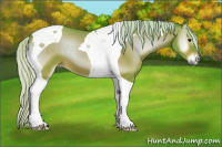 Horse Color:Watercolor Silver Bay Onyx Tobiano 