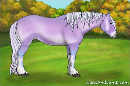 Horse Color:Watercolor Silver Bay Onyx 