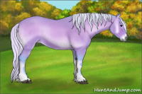 Horse Color:Watercolor Silver Bay Onyx 