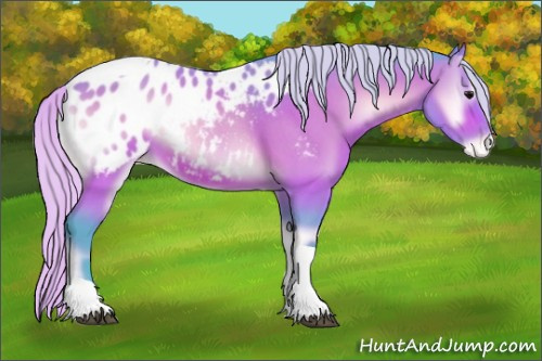 Horse Color:Watercolor Silver Brown Roan Onyx Tobiano Blanket