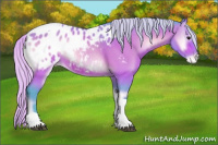 Horse Color:Watercolor Silver Brown Roan Onyx Tobiano Appaloosa 