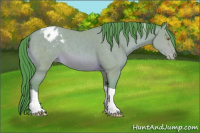 Horse Color:Watercolor Sable Champagne Tobiano Appaloosa Rabicano 