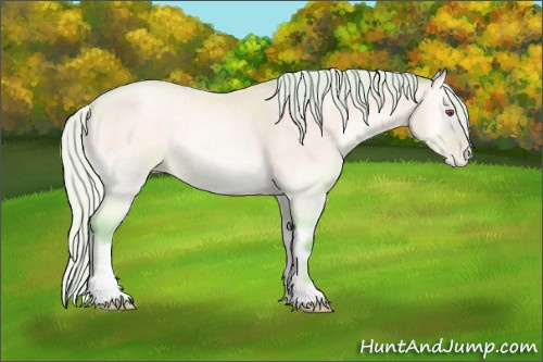 Horse Color:Watercolor Silver Bay Chinchilla Roan Pearl Onyx