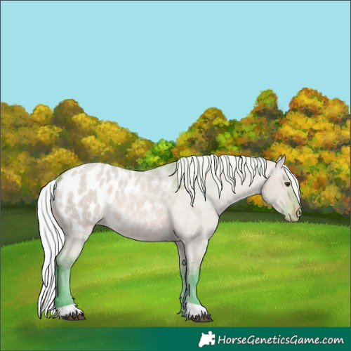 Horse Color:Watercolor Silver Bay Roan Dun Blanket Rabicano 