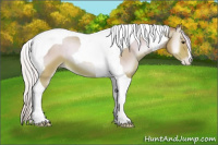 Horse Color:Watercolor Silver Bay Pearl Onyx Tobiano 