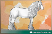Horse Color:White Spotted Palomino Chinchilla Pearl Rabicano 