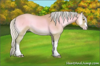 Horse Color:Watercolor Silver Amber Champagne Onyx 